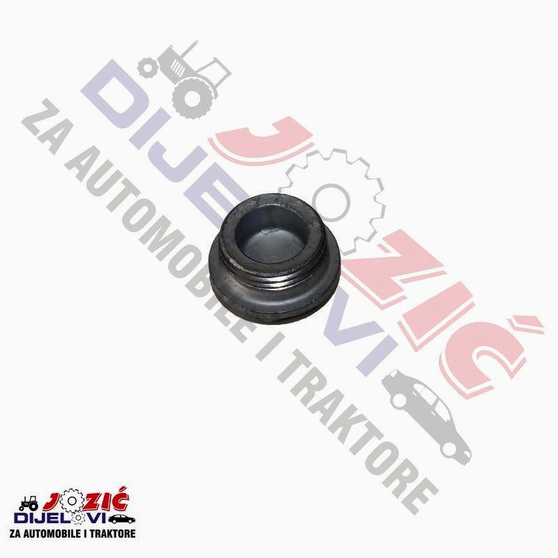 Daisy on the Ohoopee